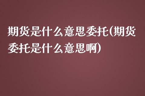 期货是什么意思委托(期货委托是什么意思啊)_https://www.gnhpgy.com_纳指期货_第1张