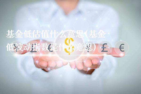 基金低估值什么意思(基金低波动指数是什么意思)_恒指期货_第1张_公牛期货直播室 基金低估值什么意思(基金低波动指数是什么意思)_https://www.gnhpgy.com_恒指期货_第1张