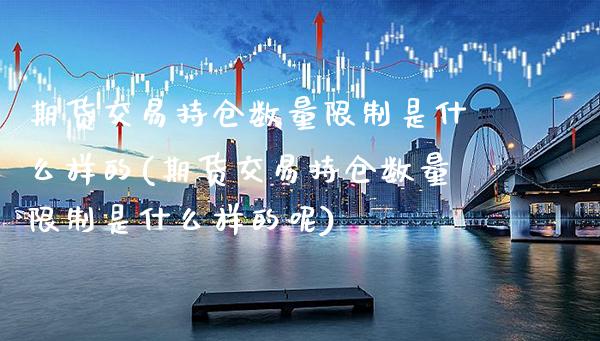 期货交易持仓数量限制是什么样的(期货交易持仓数量限制是什么样的呢)_https://www.gnhpgy.com_德指期货_第1张