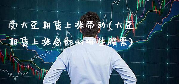 受大豆期货上涨带动(大豆期货上涨会影响哪些股票)_https://www.gnhpgy.com_恒指期货_第1张