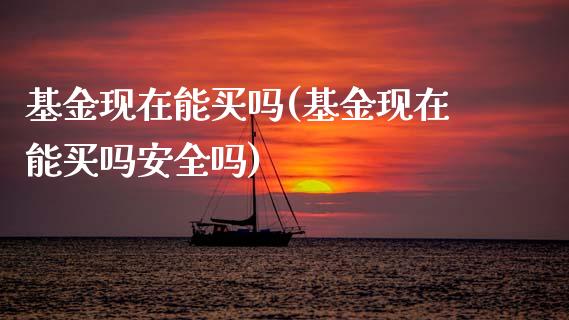 基金现在能买吗(基金现在能买吗安全吗)_https://www.gnhpgy.com_期货知识_第1张