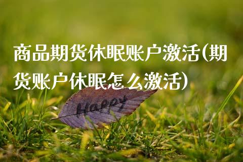 商品期货休眠账户激活(期货账户休眠怎么激活)_https://www.gnhpgy.com_黄金期货_第1张