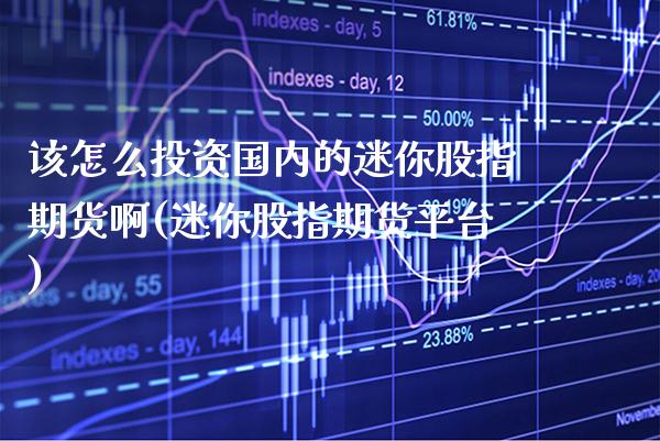该怎么投资国内的迷你股指期货啊(迷你股指期货平台)_https://www.gnhpgy.com_德指期货_第1张