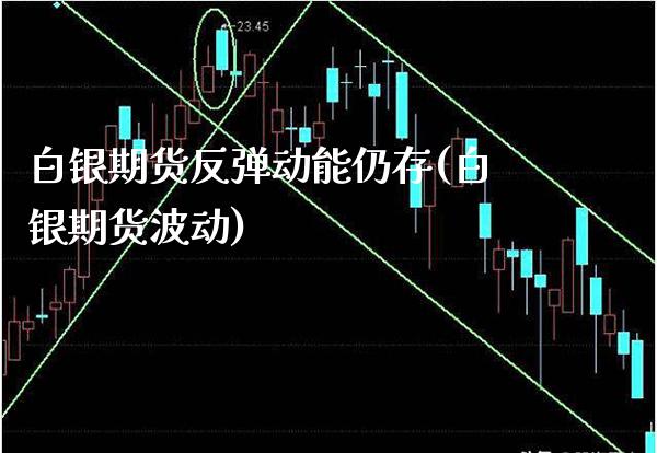 白银期货反弹动能仍存(白银期货波动)_https://www.gnhpgy.com_股指期货_第1张