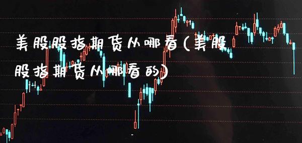 美股股指期货从哪看(美股股指期货从哪看的)_https://www.gnhpgy.com_德指期货_第1张