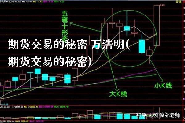 期货交易的秘密 万浩明(期货交易的秘密)_https://www.gnhpgy.com_道指期货_第1张