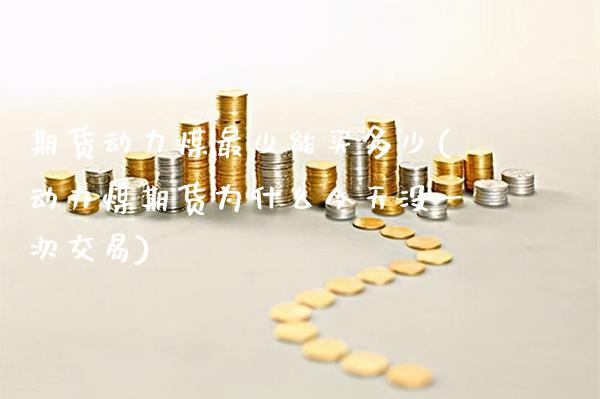 期货动力煤最少能买多少(动力煤期货为什么今天没一次交易)_https://www.gnhpgy.com_恒指期货_第1张