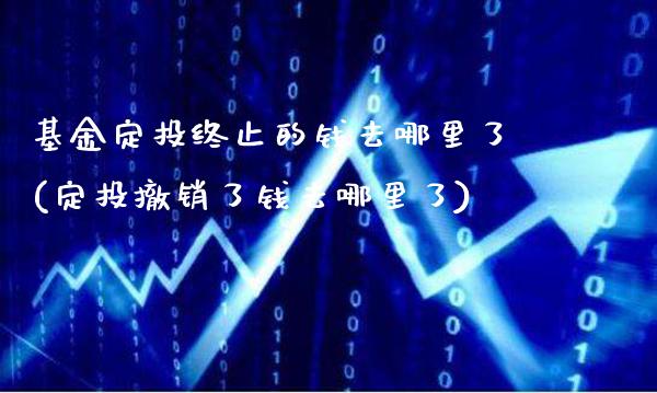 基金定投终止的钱去哪里了(定投撤销了钱去哪里了)_https://www.gnhpgy.com_黄金期货_第1张