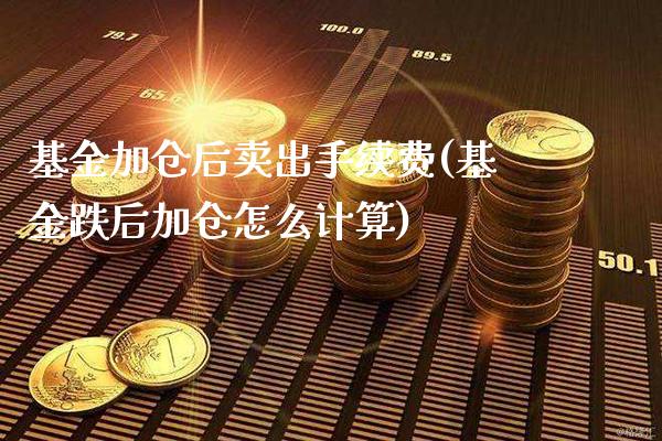 基金加仓后卖出手续费(基金跌后加仓怎么计算)_https://www.gnhpgy.com_黄金期货_第1张