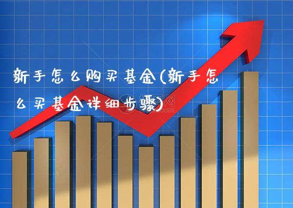 新手怎么购买基金(新手怎么买基金详细步骤)_https://www.gnhpgy.com_道指期货_第1张