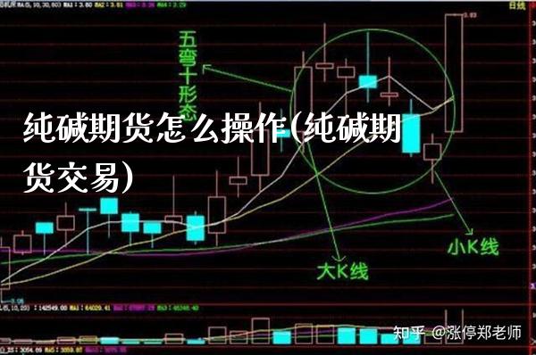 纯碱期货怎么操作(纯碱期货交易)_恒指期货_第1张_公牛期货直播室 纯碱期货怎么操作(纯碱期货交易)_https://www.gnhpgy.com_恒指期货_第1张