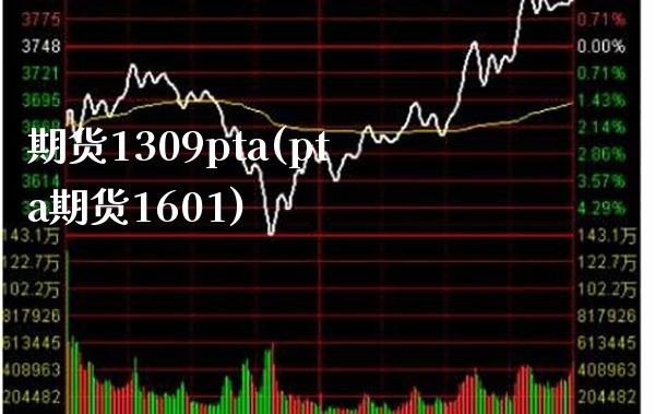 期货1309pta(pta期货1601)_https://www.gnhpgy.com_纳指期货_第1张