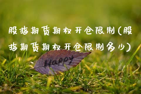 股指期货期权开仓限制(股指期货期权开仓限制多少)_https://www.gnhpgy.com_道指期货_第1张