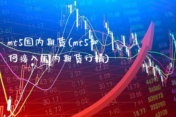 mt5国内期货(mt5如何接入国内期货行情)_https://www.gnhpgy.com_恒指期货_第1张