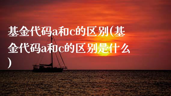 基金代码a和c的区别(基金代码a和c的区别是什么)_https://www.gnhpgy.com_纳指期货_第1张