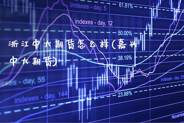 浙江中大期货怎么样(嘉兴中大期货)_https://www.gnhpgy.com_期货百科_第1张