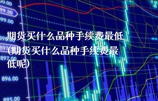 期货买什么品种手续费最低(期货买什么品种手续费最低呢)_https://www.gnhpgy.com_原油期货_第1张