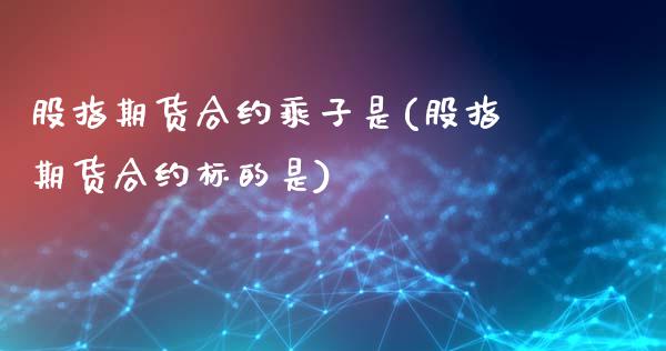 股指期货合约乘子是(股指期货合约标的是)_https://www.gnhpgy.com_股指期货_第1张