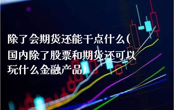 除了会期货还能干点什么(国内除了股票和期货还可以玩什么金融产品)_https://www.gnhpgy.com_道指期货_第1张