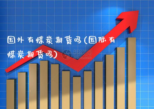 国外有煤炭期货吗(国际有煤炭期货吗)_https://www.gnhpgy.com_原油期货_第1张