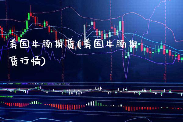 美国牛腩期货(美国牛腩期货行情)_https://www.gnhpgy.com_股指期货_第1张