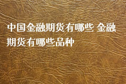 中国金融期货有哪些 金融期货有哪些品种_https://www.gnhpgy.com_恒指期货_第1张