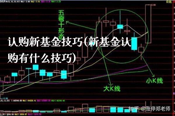 认购新基金技巧(新基金认购有什么技巧)_https://www.gnhpgy.com_纳指期货_第1张