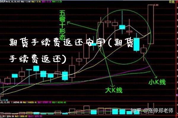 期货手续费返还安宇(期货手续费返还)_https://www.gnhpgy.com_股指期货_第1张