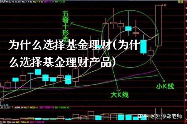 为什么选择基金理财(为什么选择基金理财产品)_https://www.gnhpgy.com_期货知识_第1张