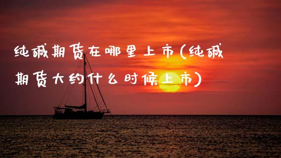 纯碱期货在哪里上市(纯碱期货大约什么时候上市)_https://www.gnhpgy.com_道指期货_第1张
