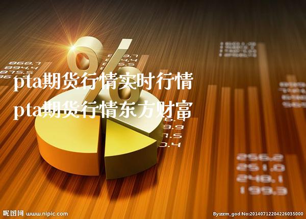 pta期货行情实时行情 pta期货行情财富_https://www.gnhpgy.com_恒指期货_第1张