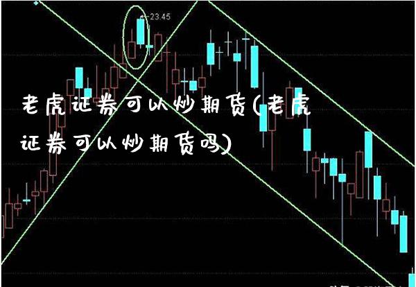 老虎证券可以炒期货(老虎证券可以炒期货吗)_https://www.gnhpgy.com_德指期货_第1张