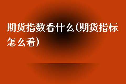 期货指数看什么(期货指标怎么看)_https://www.gnhpgy.com_股指期货_第1张