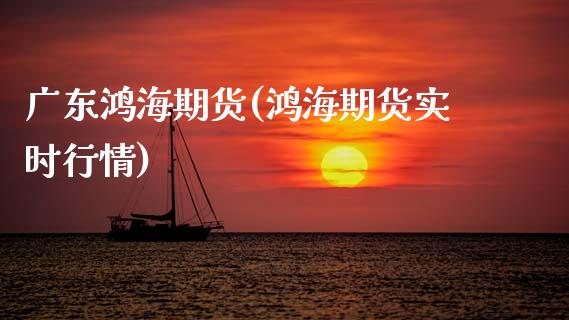 广东鸿海期货(鸿海期货实时行情)_https://www.gnhpgy.com_道指期货_第1张