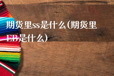 期货里ss是什么(期货里EB是什么)_https://www.gnhpgy.com_期货知识_第1张