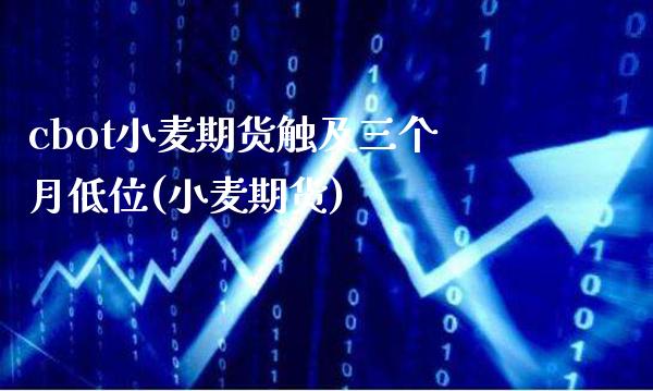 cbot小麦期货触及三个月低位(小麦期货)_https://www.gnhpgy.com_恒指期货_第1张
