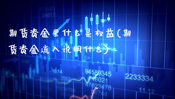 期货资金里什么是权益(期货资金流入说明什么)_https://www.gnhpgy.com_股指期货_第1张
