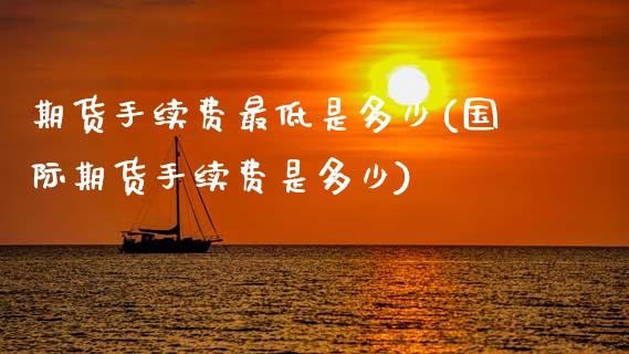 期货手续费最低是多少(国际期货手续费是多少)_https://www.gnhpgy.com_期货百科_第1张