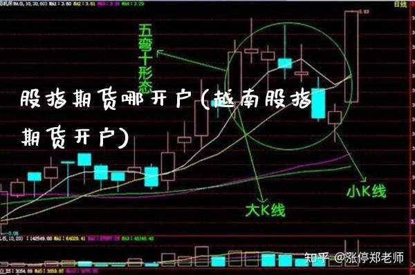 股指期货哪开户(越南股指期货开户)_https://www.gnhpgy.com_股指期货_第1张