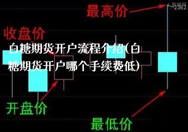 白糖期货开户流程介绍(白糖期货开户哪个手续费低)_https://www.gnhpgy.com_纳指期货_第1张