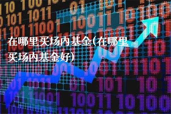 在哪里买场内基金(在哪里买场内基金好)_https://www.gnhpgy.com_德指期货_第1张