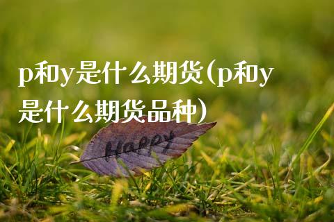 p和y是什么期货(p和y是什么期货品种)_https://www.gnhpgy.com_道指期货_第1张