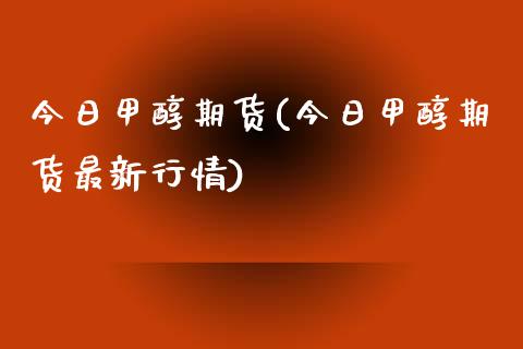 今日甲醇期货(今日甲醇期货最新行情)_https://www.gnhpgy.com_恒指期货_第1张