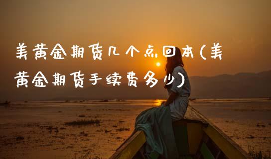 美黄金期货几个点回本(美黄金期货手续费多少)_https://www.gnhpgy.com_期货知识_第1张