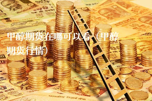 甲醇期货在哪可以看（甲醇期货行情）_https://www.gnhpgy.com_期货知识_第1张