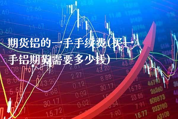 期货铝的一手手续费(买一手铝期货需要多少钱)_https://www.gnhpgy.com_期货百科_第1张