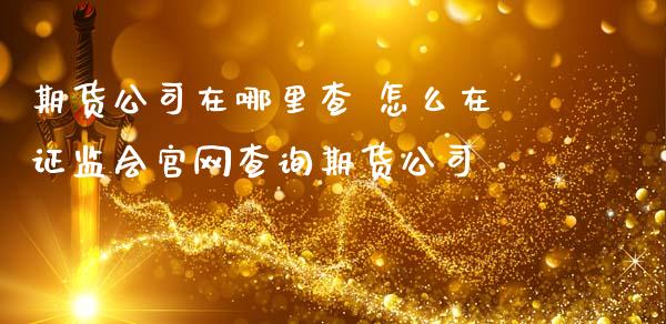 期货公司在哪里查 怎么在证监会查询期货公司_https://www.gnhpgy.com_道指期货_第1张