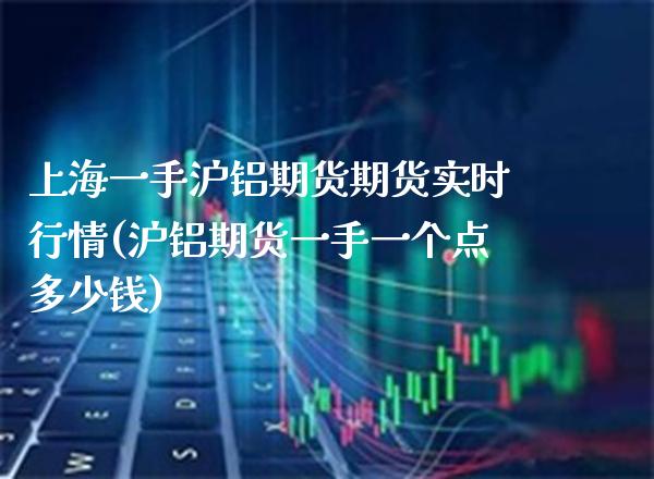 上海一手沪铝期货期货实时行情(沪铝期货一手一个点多少钱)_https://www.gnhpgy.com_股指期货_第1张
