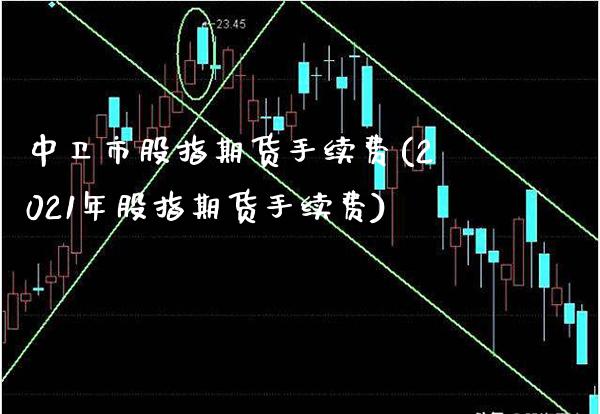 中卫市股指期货手续费(2021年股指期货手续费)_https://www.gnhpgy.com_股指期货_第1张