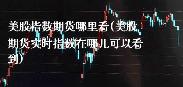 美股指数期货哪里看(美股期货实时指数在哪儿可以看到)_https://www.gnhpgy.com_纳指期货_第1张